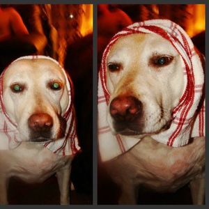 Meet your Posher, Alice